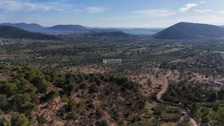 Αγροτεμάχια 5.011,08 τ.μ. για πώληση, Αργολίδα, Ερμιόνη-thumb-10