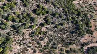 Αγροτεμάχια 5.011,08 τ.μ. για πώληση, Αργολίδα, Ερμιόνη-thumb-8