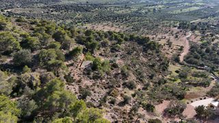 Αγροτεμάχια 5.011,08 τ.μ. για πώληση, Αργολίδα, Ερμιόνη-thumb-7