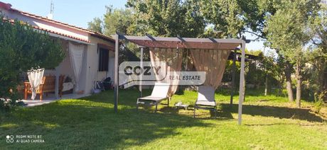 Μονοκατοικία 45τ.μ. για πώληση-Καλλικράτεια » Σωζόπολη