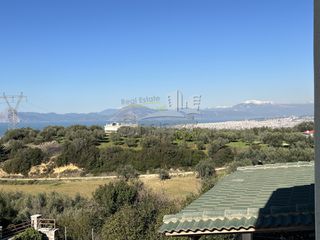 Μονοκατοικία 240 τ.μ. για πώληση, Αχαΐα, Μεσσατίδα-thumb-25