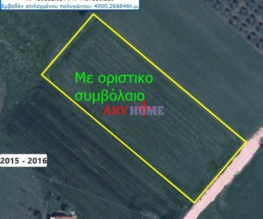 Αγροτεμάχια 4.000 τ.μ. προς πώληση, Νέα Τρίγλια
