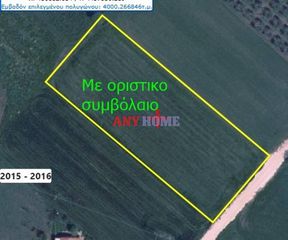 Αγροτεμάχια 4.000 τ.μ. για πώληση