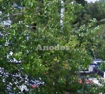 Land plot 331sqm for sale-Chalandri » Polidroso