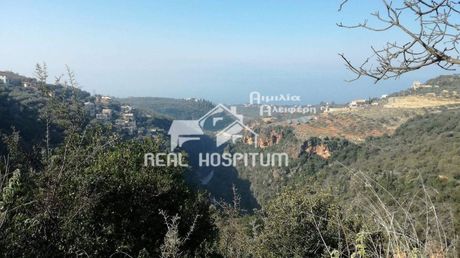Οικόπεδο 24.000τ.μ. για πώληση-Αβία » Κάμπος