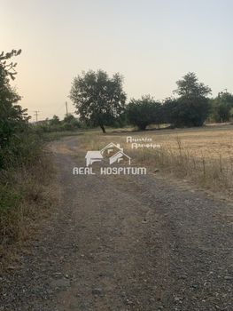 Land plot 15.588sqm for sale-Megalopoli » Anthochori
