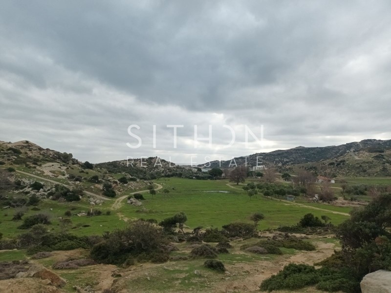 Οικόπεδο 500 τ.μ. προς πώληση, Σκάλα Συκέας
