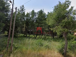 Οικόπεδο 1.628 τ.μ. για πώληση, Αθήνα - Βόρεια Προάστια, Διόνυσος-thumb-3