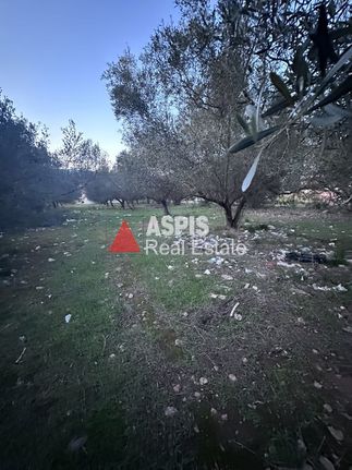 Οικόπεδο 1.240 τ.μ. για πώληση, Αθήνα - Ανατολικά Προάστια, Κορωπί