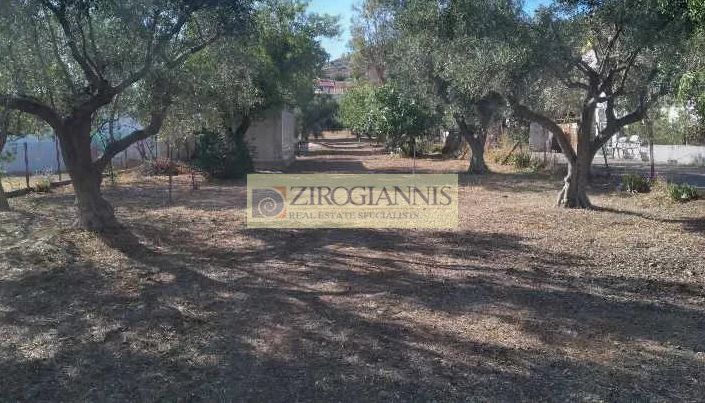 Land plot 1.800 sqm for sale, Rest Of Attica, Ano Liosia