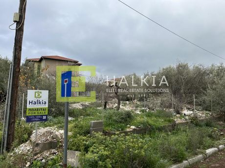Land plot 590sqm for sale-Agria » Center