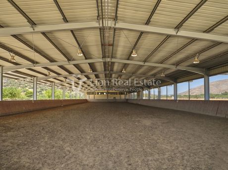 Business bulding 1.700 sqm for sale