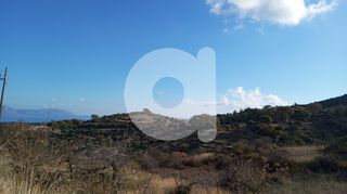 Οικόπεδο 2.016 τ.μ. για πώληση, Λακωνία, Κύθηρα-thumb-7