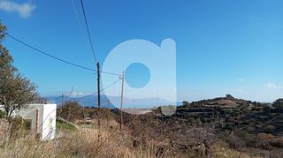 Οικόπεδο 2.016 τ.μ. για πώληση, Λακωνία, Κύθηρα-thumb-6
