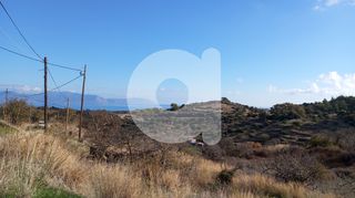 Οικόπεδο 2.016 τ.μ. για πώληση, Λακωνία, Κύθηρα-thumb-3
