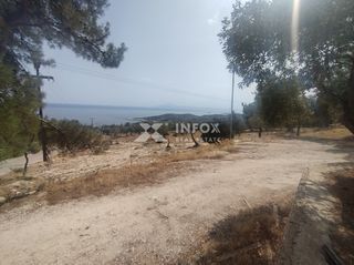 Οικόπεδο 6.054 τ.μ. για πώληση, Ν. Καβάλας, Θάσος-thumb-15