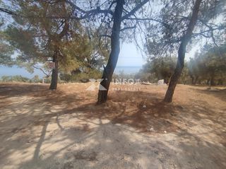 Οικόπεδο 6.054 τ.μ. για πώληση, Ν. Καβάλας, Θάσος-thumb-10