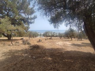 Οικόπεδο 6.054 τ.μ. για πώληση, Ν. Καβάλας, Θάσος-thumb-4