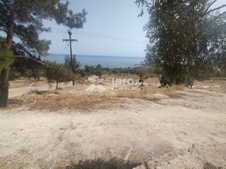 Οικόπεδο 6.054 τ.μ. για πώληση, Ν. Καβάλας, Θάσος-thumb-13