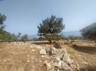 Οικόπεδο 6.054 τ.μ. για πώληση, Ν. Καβάλας, Θάσος-thumb-9
