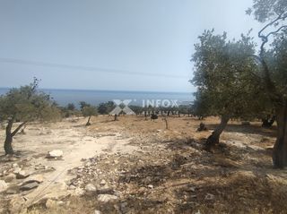 Οικόπεδο 6.054 τ.μ. για πώληση, Ν. Καβάλας, Θάσος-thumb-11