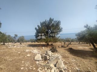 Οικόπεδο 6.054 τ.μ. για πώληση, Ν. Καβάλας, Θάσος-thumb-8