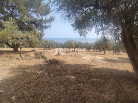 Land plot 6.054sqm for sale-Thasos » Astrida