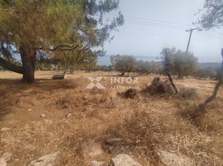 Οικόπεδο 6.054 τ.μ. για πώληση, Ν. Καβάλας, Θάσος-thumb-2