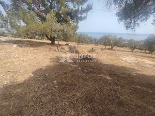 Οικόπεδο 6.054 τ.μ. για πώληση, Ν. Καβάλας, Θάσος-thumb-5