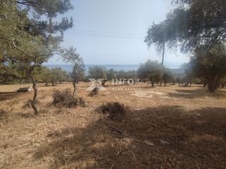 Οικόπεδο 6.054 τ.μ. για πώληση, Ν. Καβάλας, Θάσος-thumb-1
