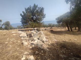 Οικόπεδο 6.054 τ.μ. για πώληση, Ν. Καβάλας, Θάσος-thumb-7