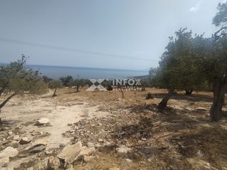 Οικόπεδο 6.054 τ.μ. για πώληση, Ν. Καβάλας, Θάσος-thumb-12