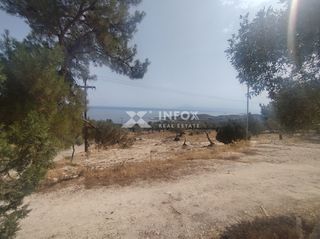 Οικόπεδο 6.054 τ.μ. για πώληση, Ν. Καβάλας, Θάσος-thumb-14