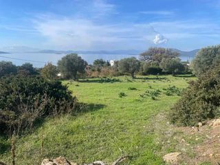 Αγροτεμάχια 6.314 τ.μ. για πώληση, Εύβοια, Στύρα-thumb-1