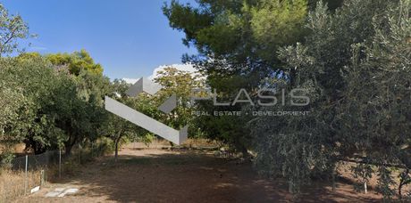 Οικόπεδο 1.065τ.μ. για πώληση-Παλλήνη