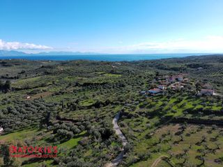 Οικόπεδο 5.963 τ.μ. για πώληση