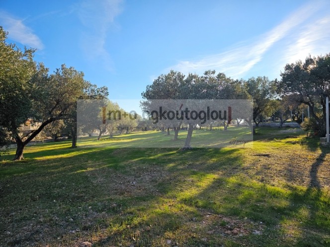Αγροτεμάχια 5.140 τ.μ. πρός πώληση, Αττική - Υπόλοιπο, Παλαιά Φώκαια