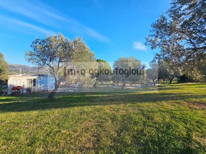 Αγροτεμάχια 5.140 τ.μ. πρός πώληση, Αττική - Υπόλοιπο, Παλαιά Φώκαια