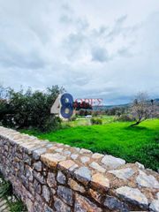 Οικόπεδο 954,20 τ.μ. για πώληση