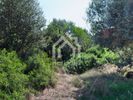 Parcel 11.000sqm for sale-Panagia » Center