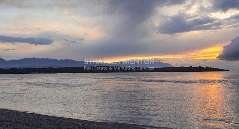 Αγροτεμάχια 11.250 τ.μ. πρός πώληση, Εύβοια, Αρτεμίσιο