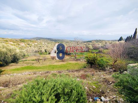 Οικόπεδο 2.215τ.μ. για πώληση-Χίος » Μαστιχοχώρια