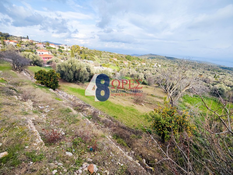 Οικόπεδο 2.215 τ.μ. προς πώληση, Μαστιχοχώρια