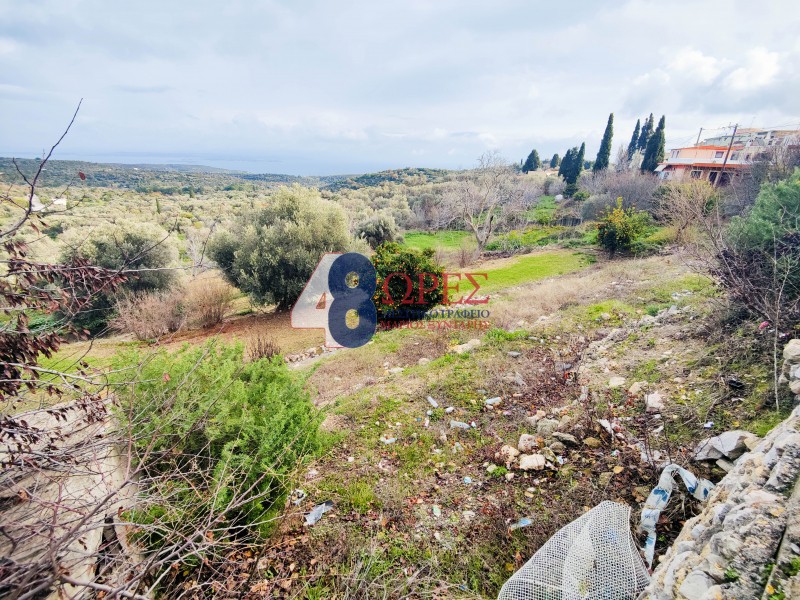 Οικόπεδο 2.215 τ.μ. προς πώληση, Μαστιχοχώρια