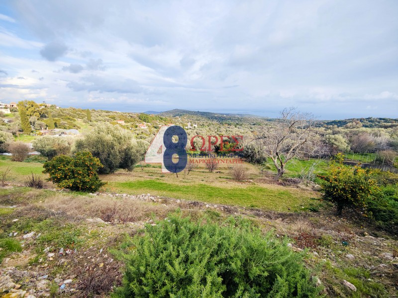 Οικόπεδο 2.215 τ.μ. προς πώληση, Μαστιχοχώρια