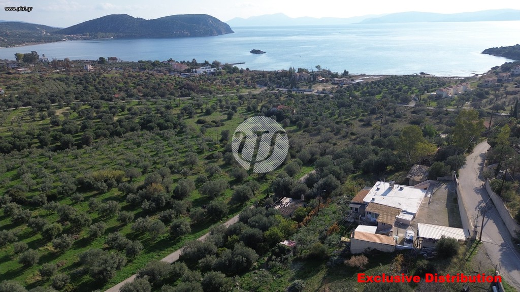 Μονοκατοικία 278 τ.μ. προς πώληση, Αχλαδίτσα