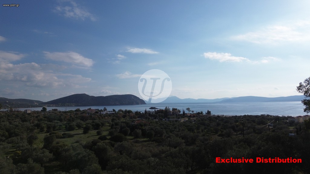 Μονοκατοικία 278 τ.μ. προς πώληση, Αχλαδίτσα