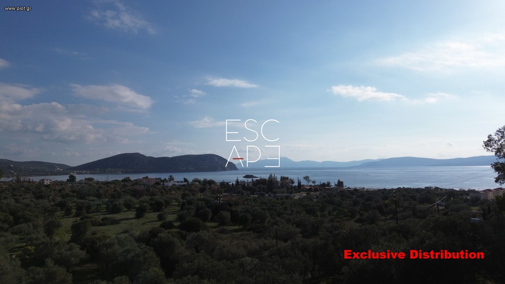Μονοκατοικία 278 τ.μ. προς πώληση, Αχλαδίτσα