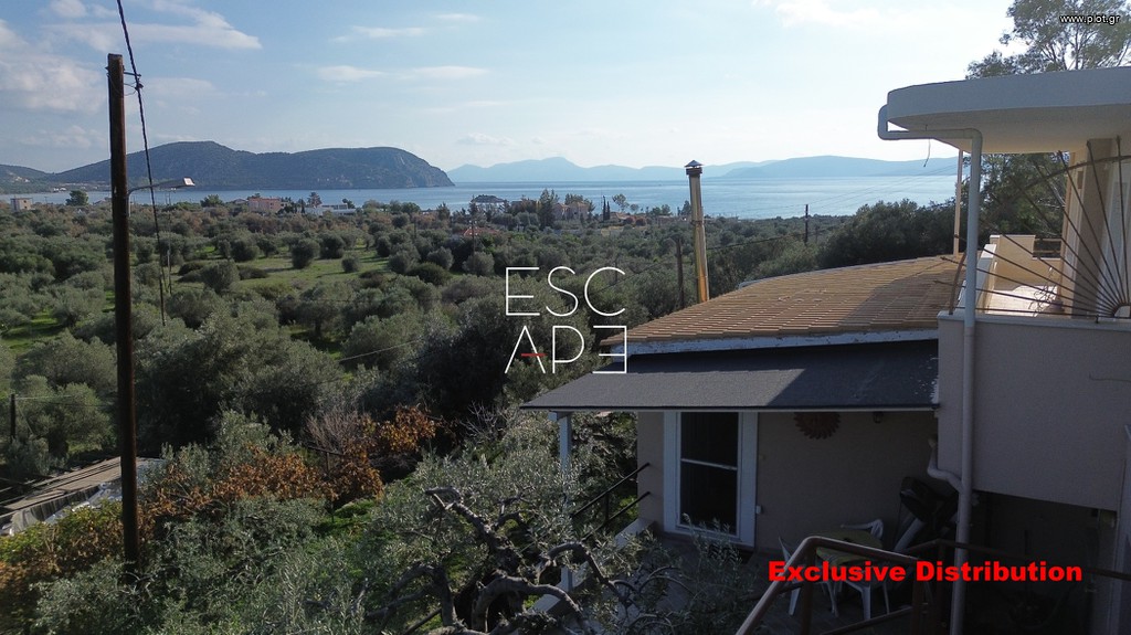 Μονοκατοικία 278 τ.μ. προς πώληση, Αχλαδίτσα
