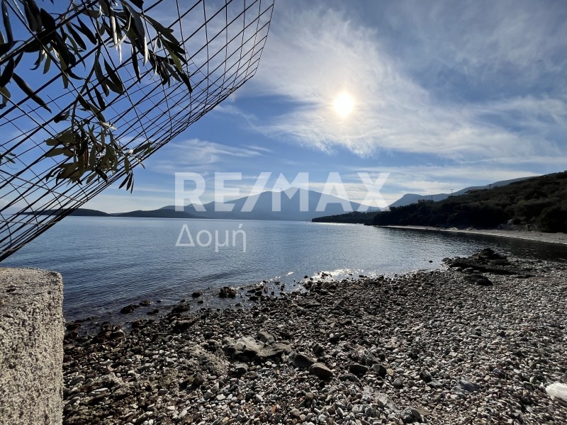 Οικόπεδο 590 τ.μ. πρός πώληση, Μαγνησία, Σούρπη